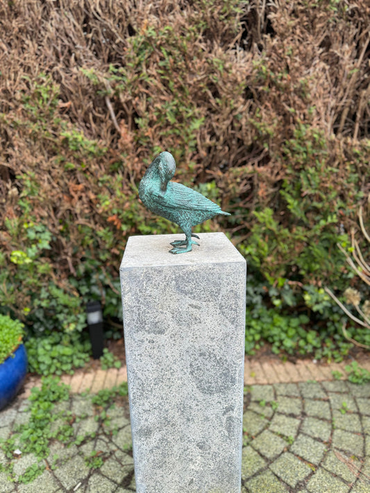 Grooming Duck – Bronze Sculpture. 21x22x23cm - 1.5Kg