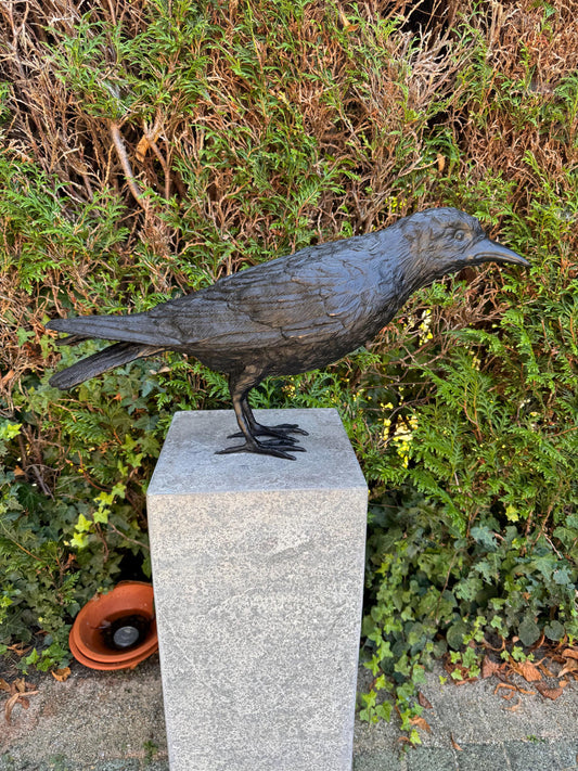 Majestic Raven – Bronze Sculpture. 55x13x37cm