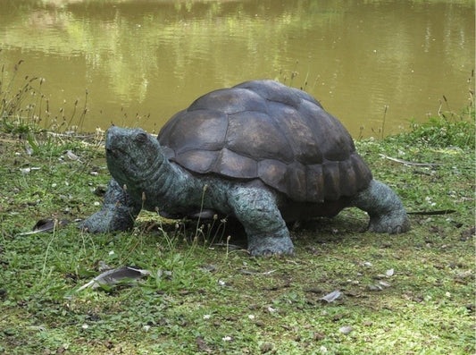 Wise Tortoise – Bronze Sculpture. 90x55x35cm - 14Kg