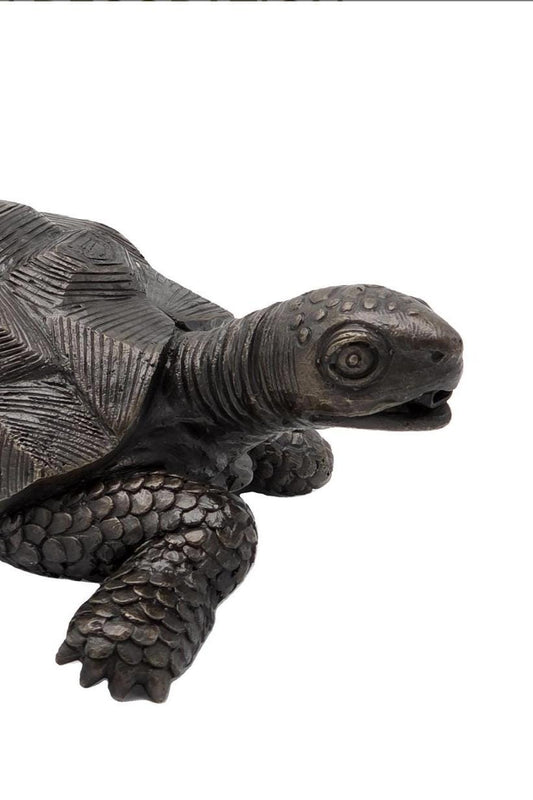 Steady Tortoise – Bronze Sculpture. 29x19x10cm - 0.8Kg