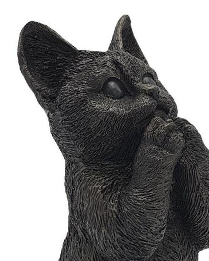 Cheeky Cat – Bronze Sculpture. 9x9x24cm - 1Kg