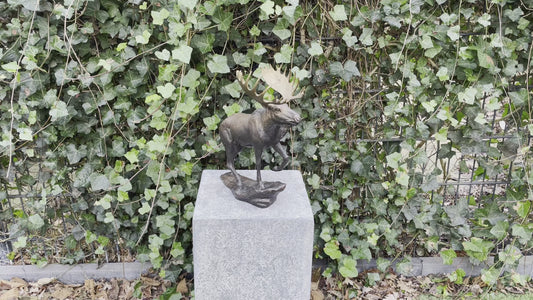 Noble Moose – Bronze Sculpture. 26x15x30cm - 1.5Kg