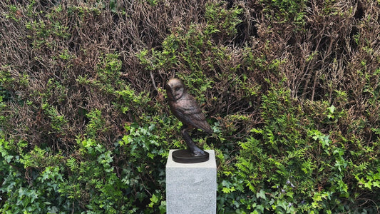 Silent Watcher – Bronze Sculpture. 16x13x43cm - 5.5Kg