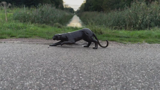 Stretching Panther – Bronze Sculpture. 90x19x30cm - 12Kg