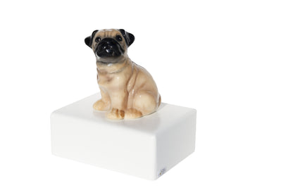 Urna Cachorros