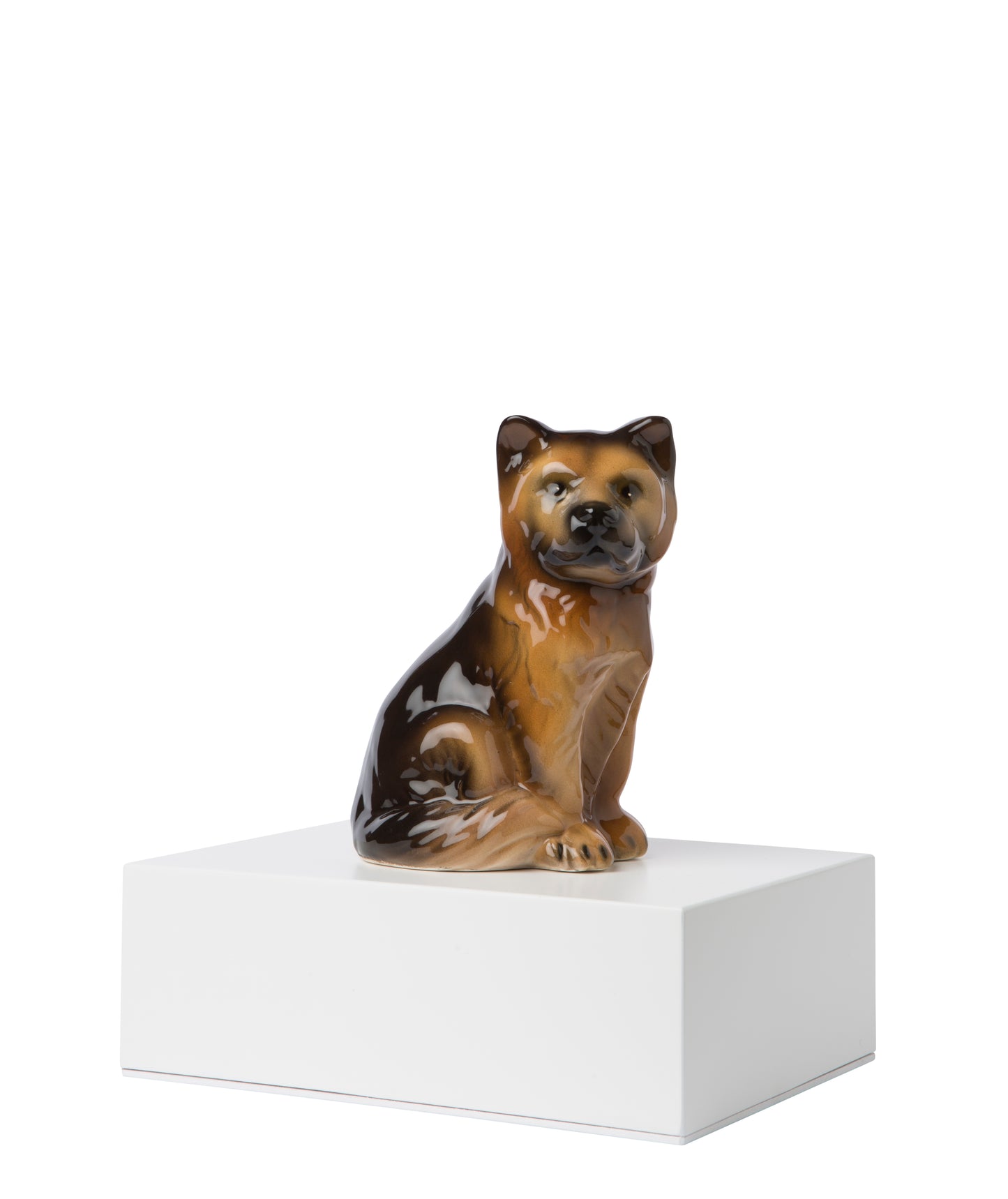 Urna Cachorros