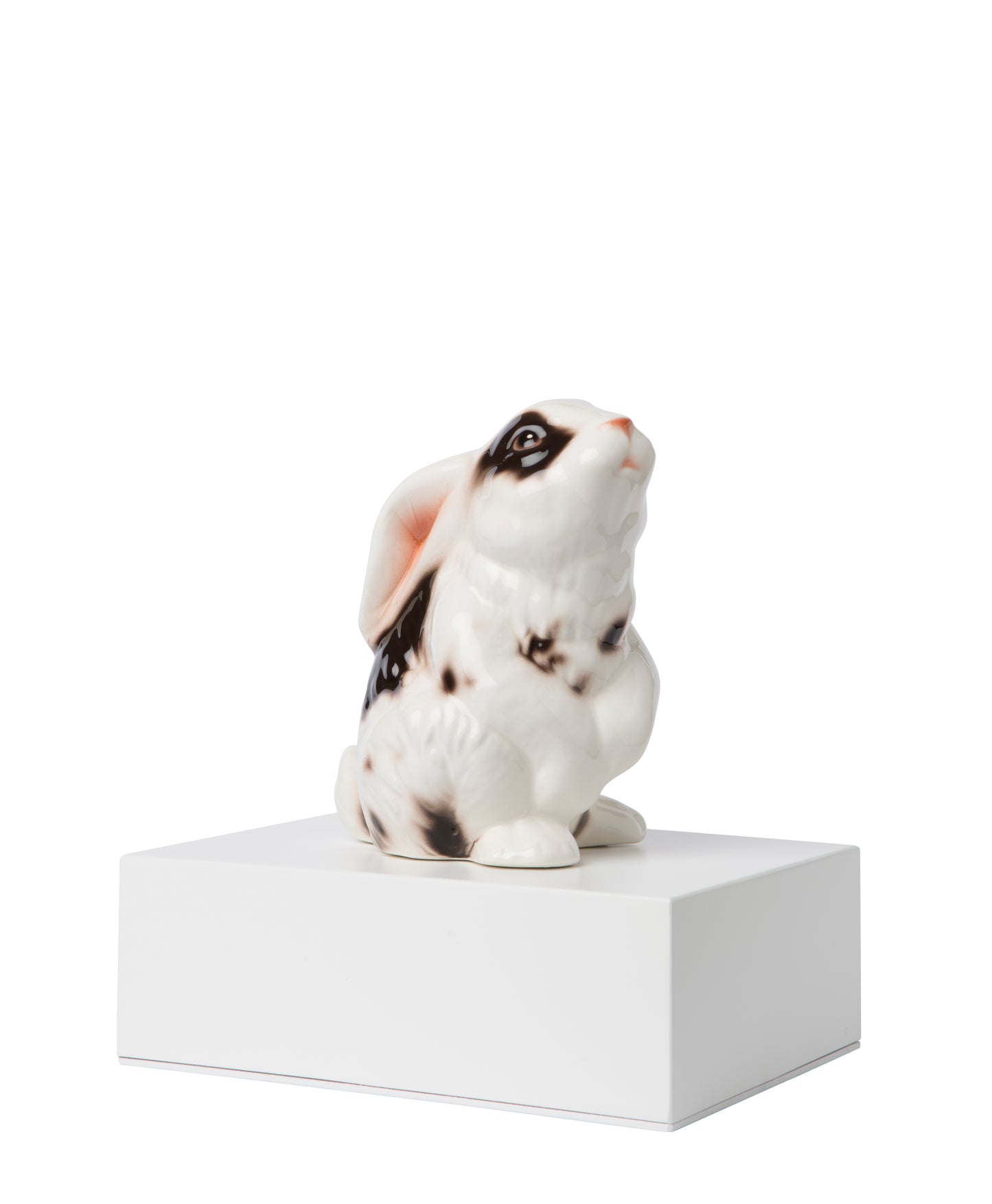 Urnas Coelhos