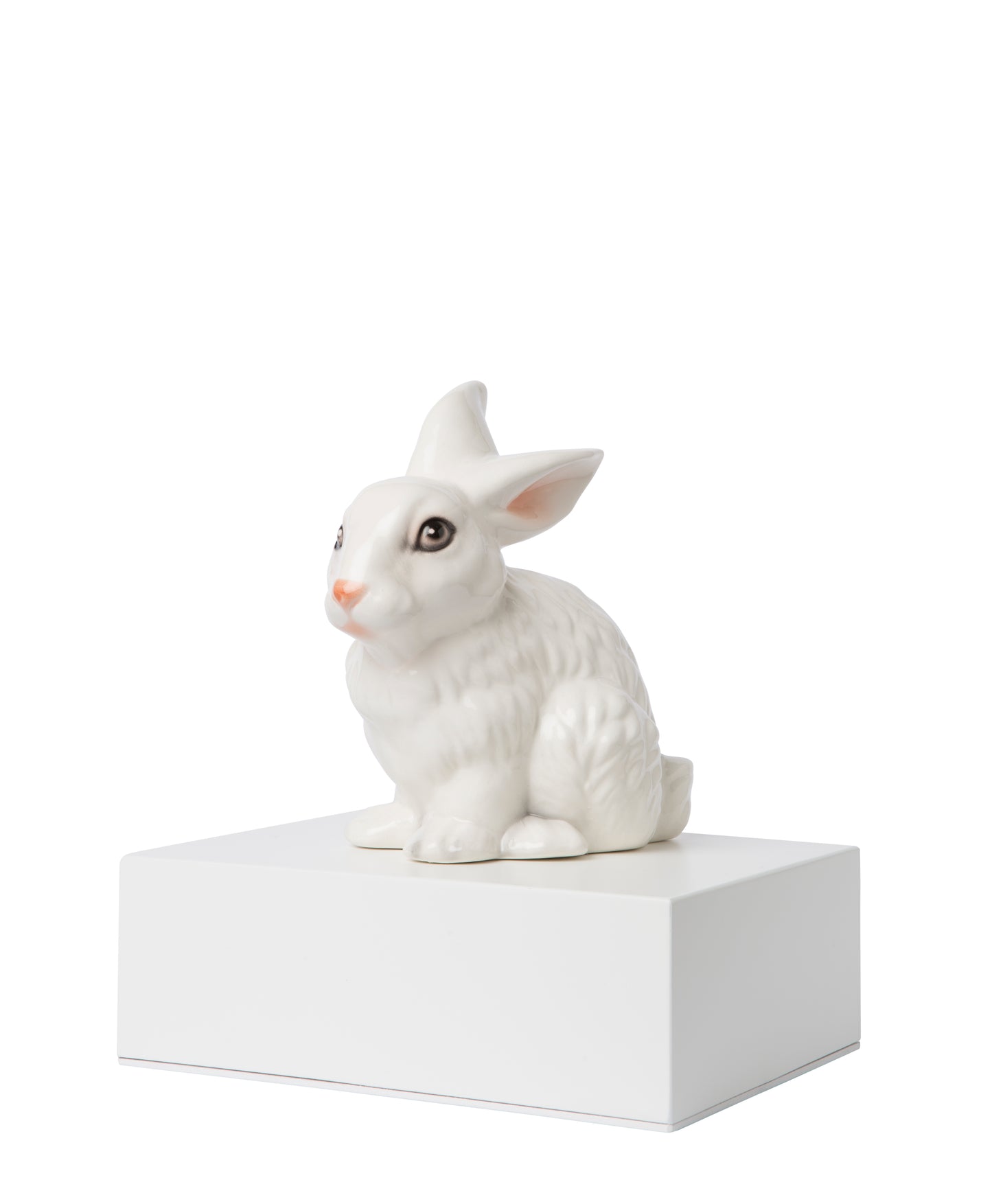 Urnas Coelhos